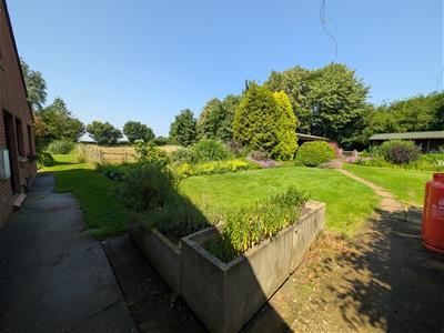 Picture 20